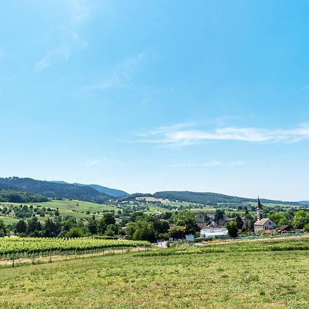 Fewo Im Lenzengarten Apartamento Sulzburg Exterior foto