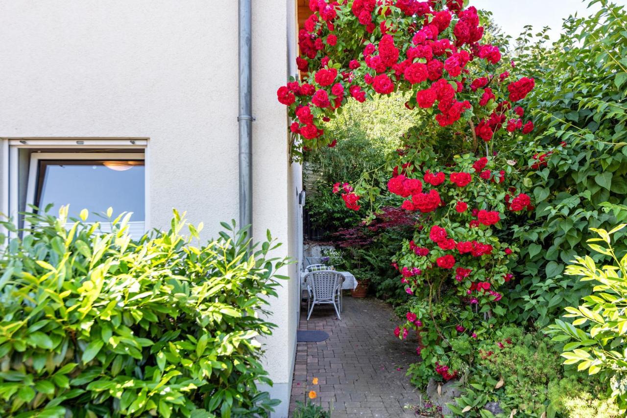 Fewo Im Lenzengarten Apartamento Sulzburg Exterior foto